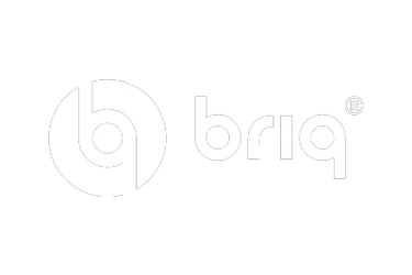 logo briq