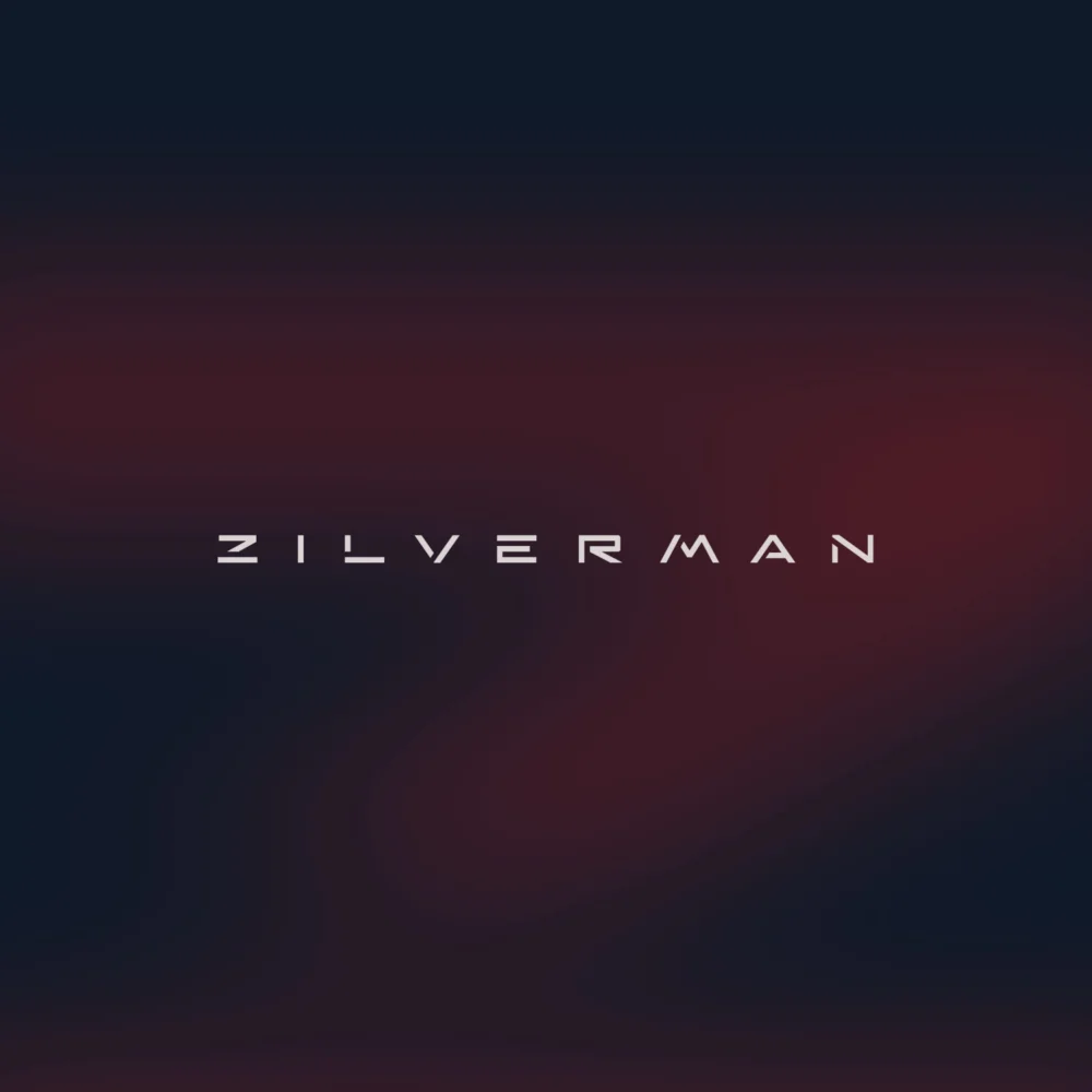 bakker ontwerp portfolio branding web zilverman