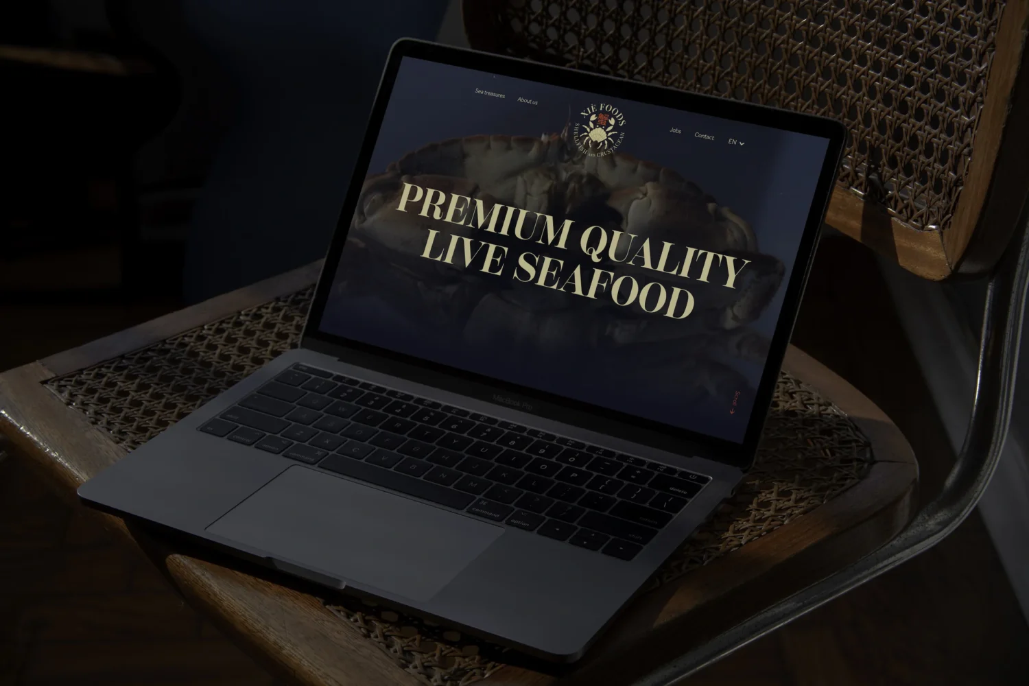 bakker ontwerp portfolio branding, webdesign en ontwikkeling