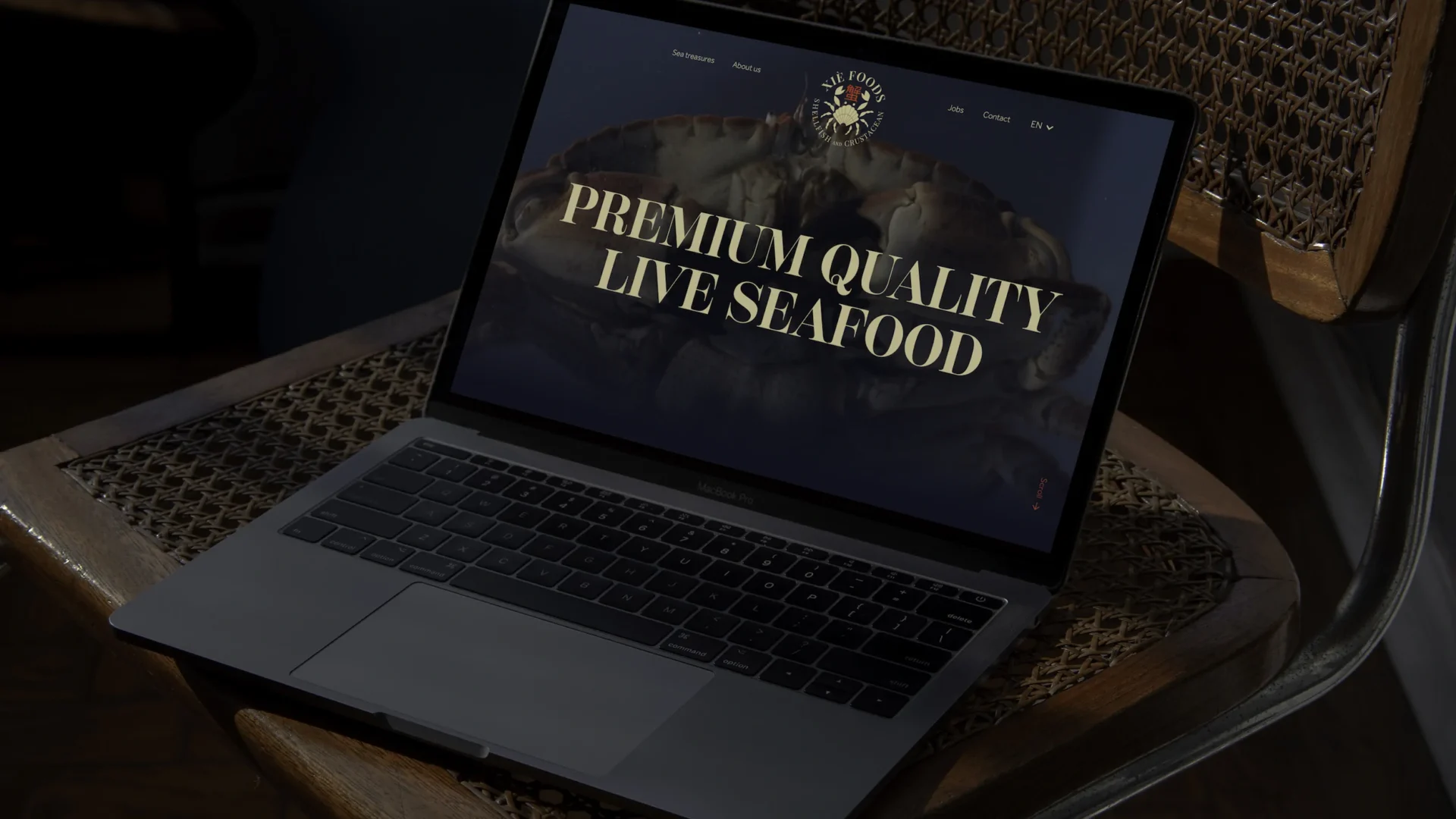 bakker ontwerp portfolio branding, webdesign en ontwikkeling