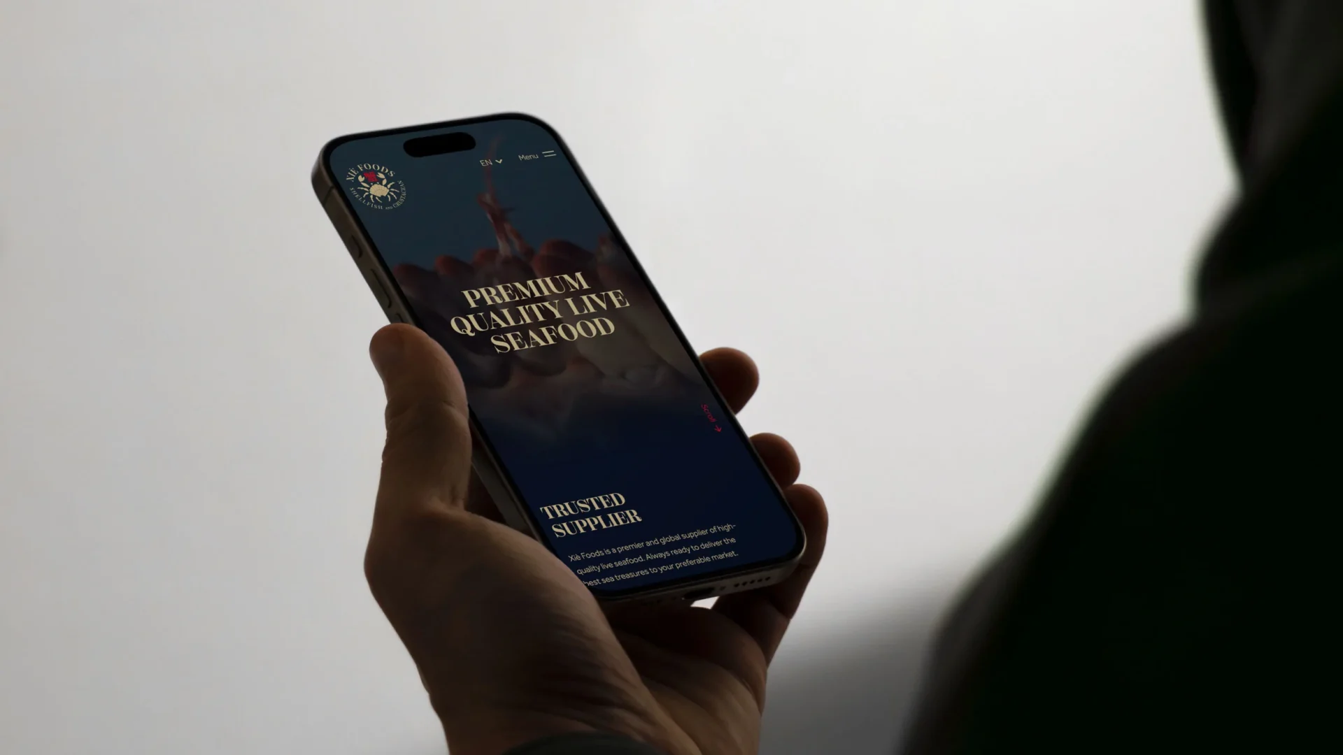 bakker ontwerp portfolio branding, webdesign en ontwikkeling