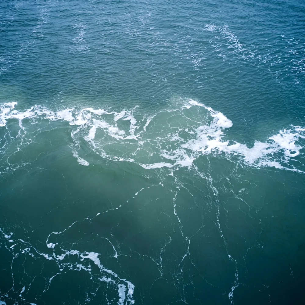 Ontwerp visuele identiteit en website